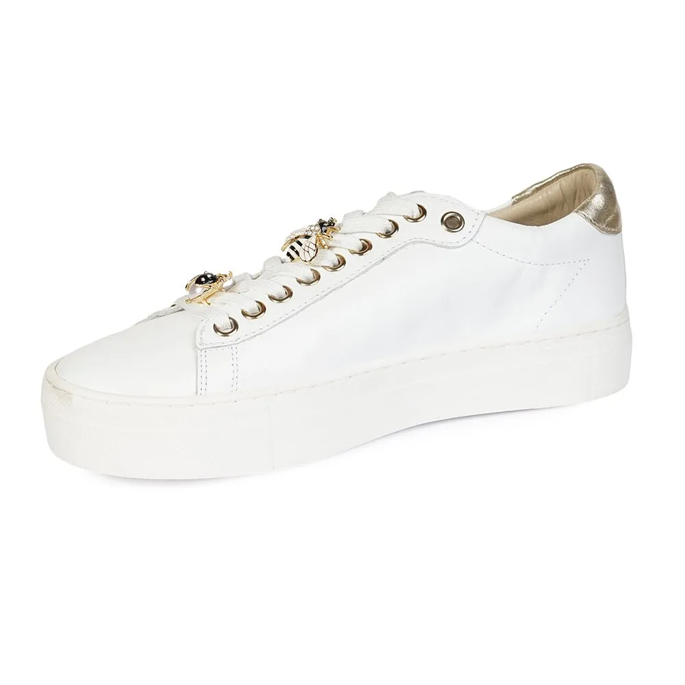 Greyder Women's Casual Sneakers