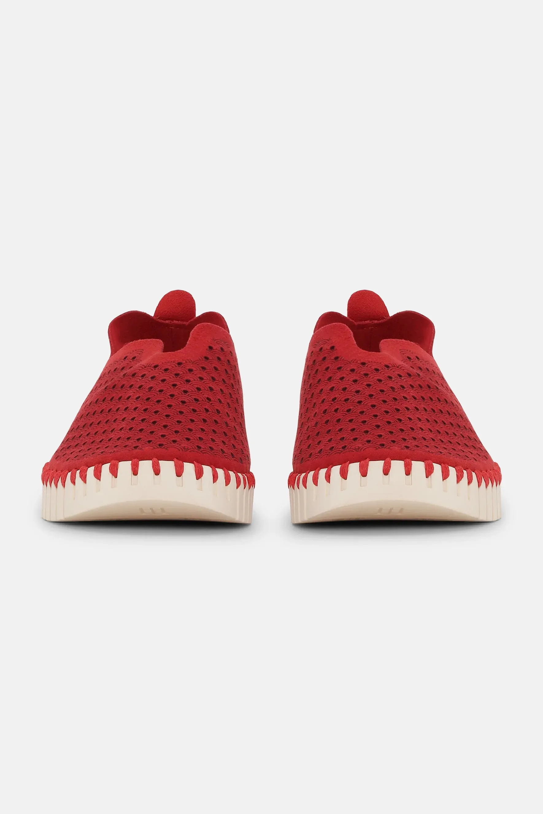 Ilse Jacobsen tulip 3275 deep red 303