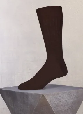 Merino Wool/Silk Sock in Brown